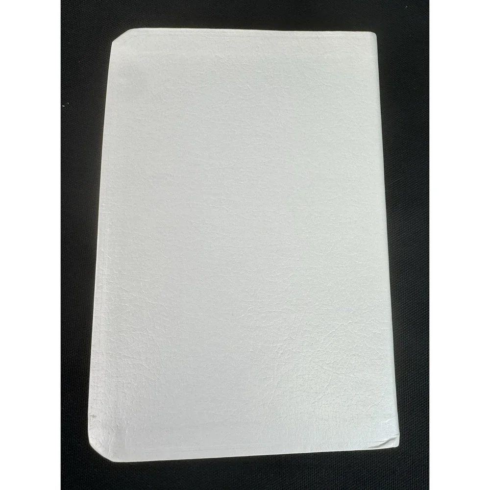 Dreamsicles Holy Bible King James Version 5